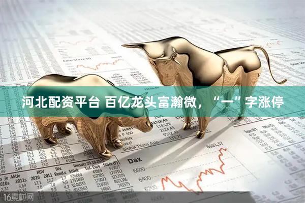 河北配资平台 百亿龙头富瀚微，“一”字涨停
